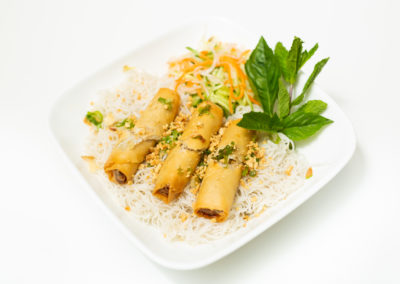 Vermicelli,Vegetables&SpringRolls